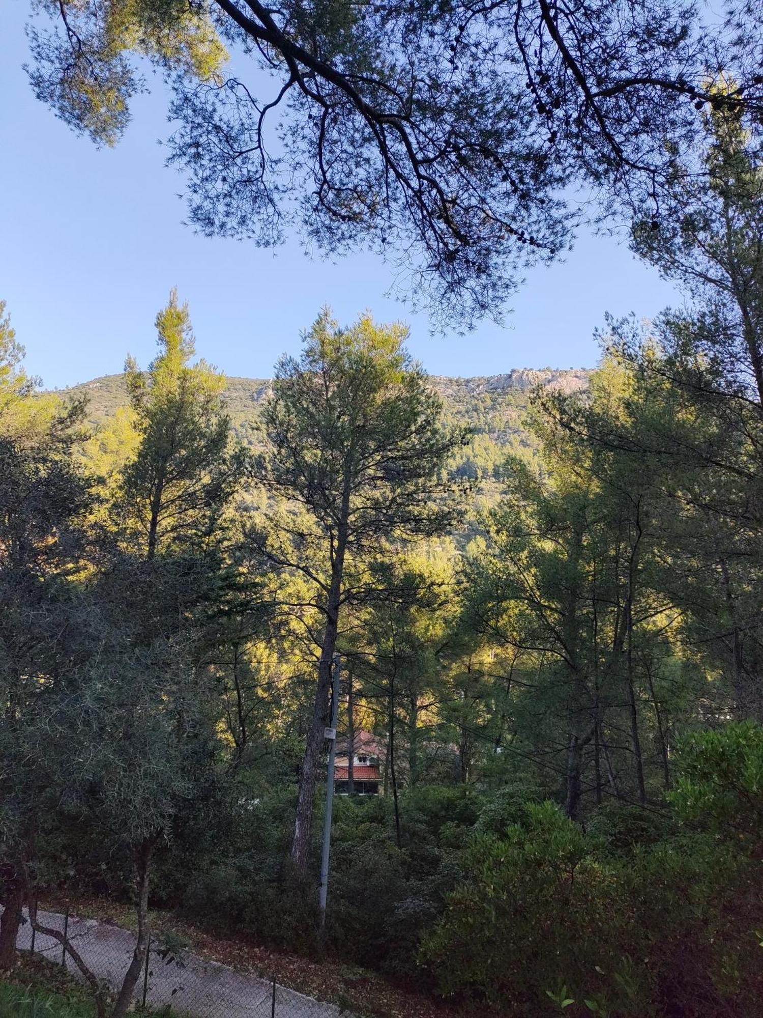 Maisonnette-Studio Toulon 83200 Εξωτερικό φωτογραφία